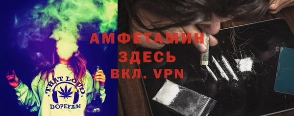 стафф Ельня