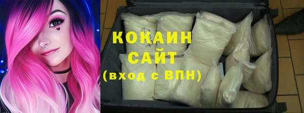 стафф Ельня