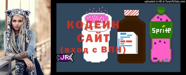 стафф Ельня