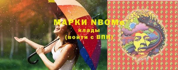 стафф Ельня