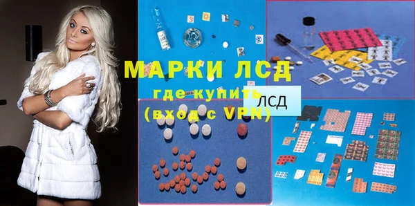 стафф Ельня