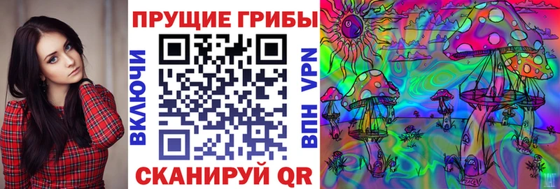 Купить Обоянь Галлюциногенные грибы Psilocybe